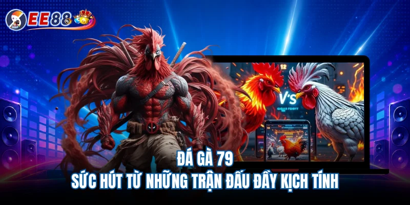 Đá Gà 79 - Sức Hút Từ Những Trận Đấu Đầy Kịch Tính