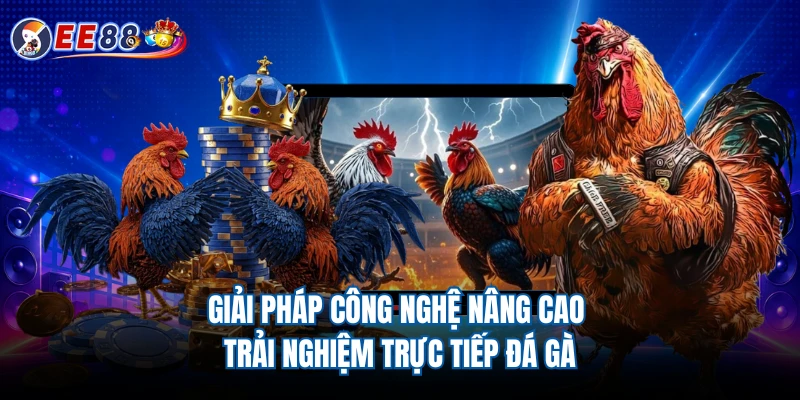 Giải pháp công nghệ nâng cao trải nghiệm trực tiếp đá gà