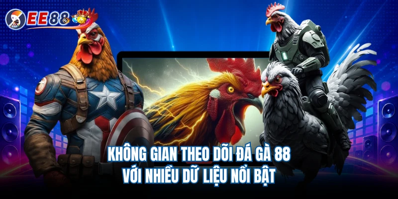 Không gian theo dõi đá gà 88 với nhiều dữ liệu nổi bật