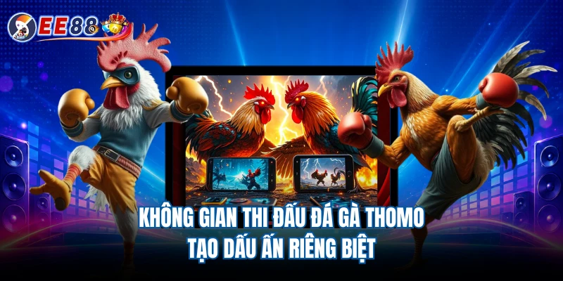 Không gian thi đấu đá gà Thomo tạo dấu ấn riêng biệt