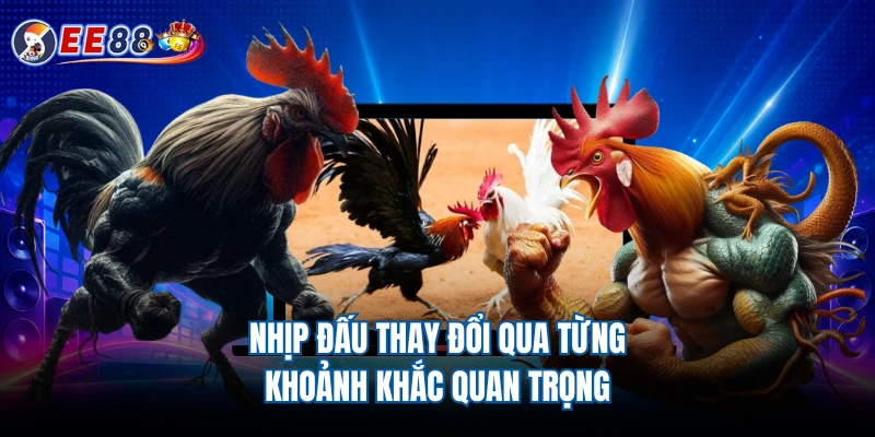 Nhịp đấu thay đổi qua từng khoảnh khắc quan trọng