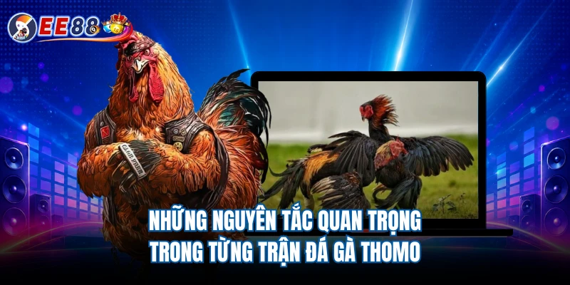 Những nguyên tắc quan trọng trong từng trận đá gà Thomo